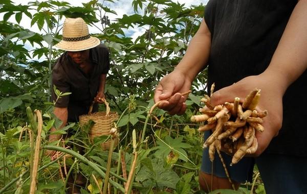 Produtor tem até dezembro para fazer o registro no Cadastro Ambiental Rural