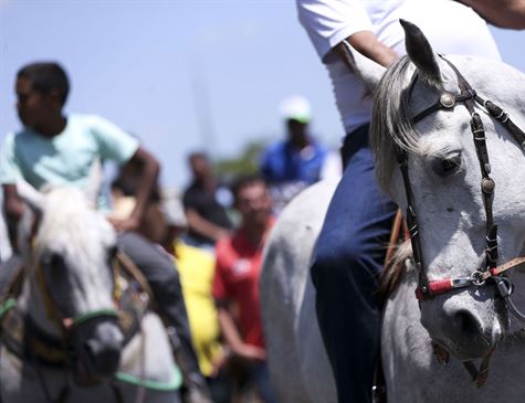 Promulgada Emenda Constitucional que libera prática da vaquejada no país