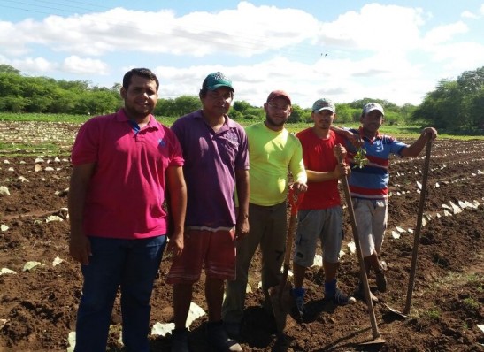 Prefeitura de Prata inicia plantio de palma para os agricultores do município