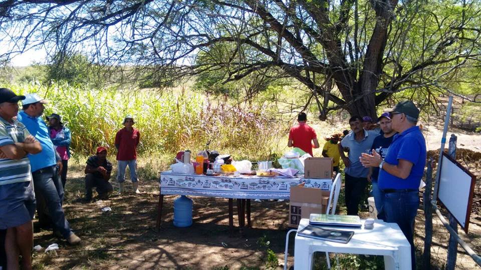 EM AMPARO: SECRETARIA DE AGRICULTURA E EMATER PROMOVEM DIA DE CAMPO PARA OS AGRICULTORES