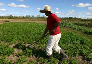 Lei permite desconto e agricultores liquidam dívida de R$ 917 mil pagando apenas 5%