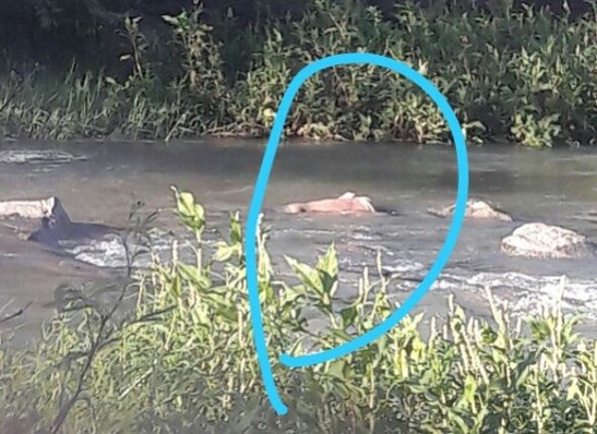 Corpo de homem não identificado é encontrado no Rio Paraíba, em Monteiro