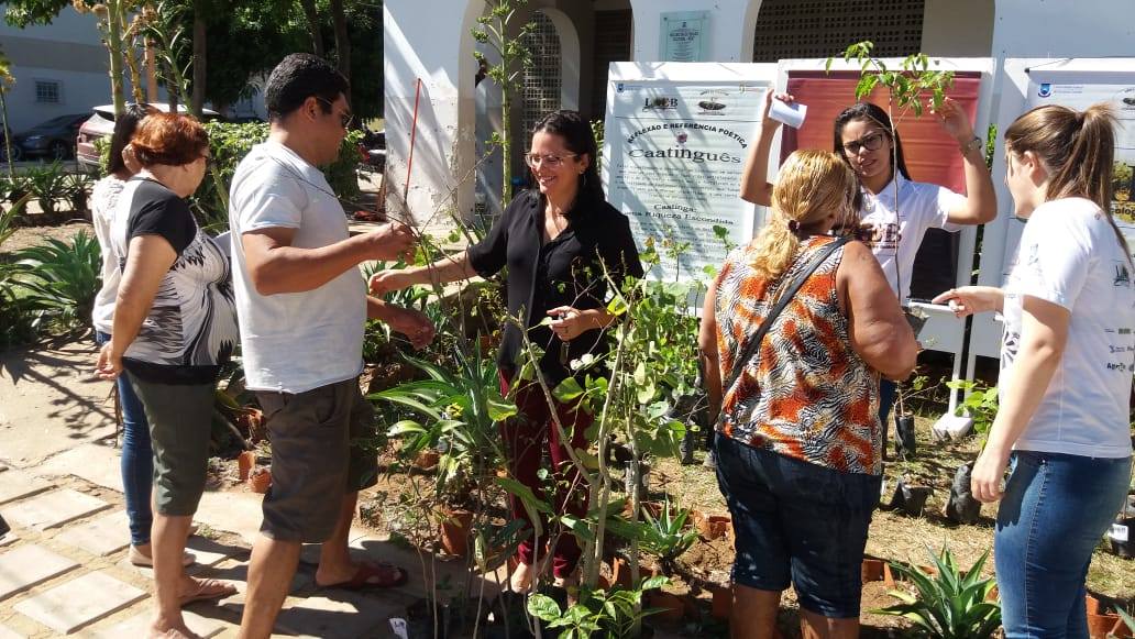 Laboratório e grupo de pesquisa do CDSA/UFCG doam plantas da caatinga para população de Sumé