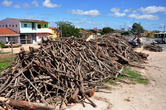 Comércio de lenha para fogueiras está na mira da Sudema