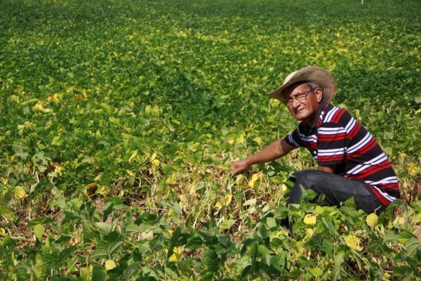 Secretaria de Agricultura de São J. dos Cordeiros iniciará entrega de boletos do Garantia Safra 2018/2019