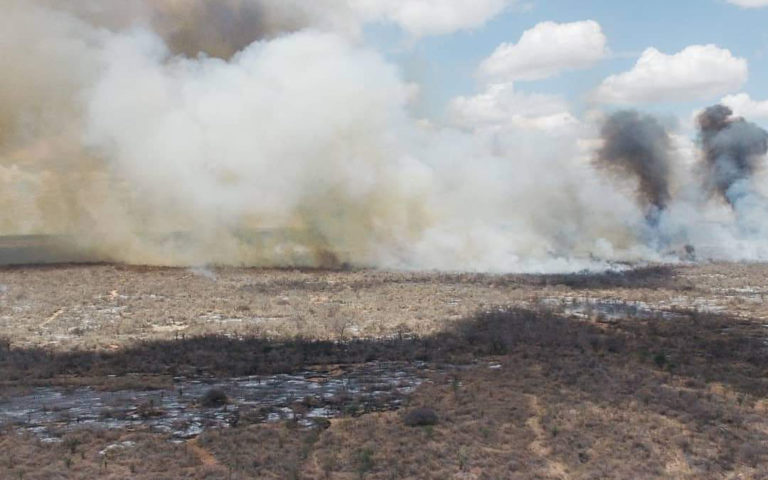 Incêndio se prolonga por dois dias em Monteiro e devasta extensa área de 4 comunidades rurais