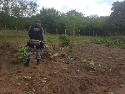 Homem é preso suspeito de matar jovem e enterrar corpo no quintal de casa