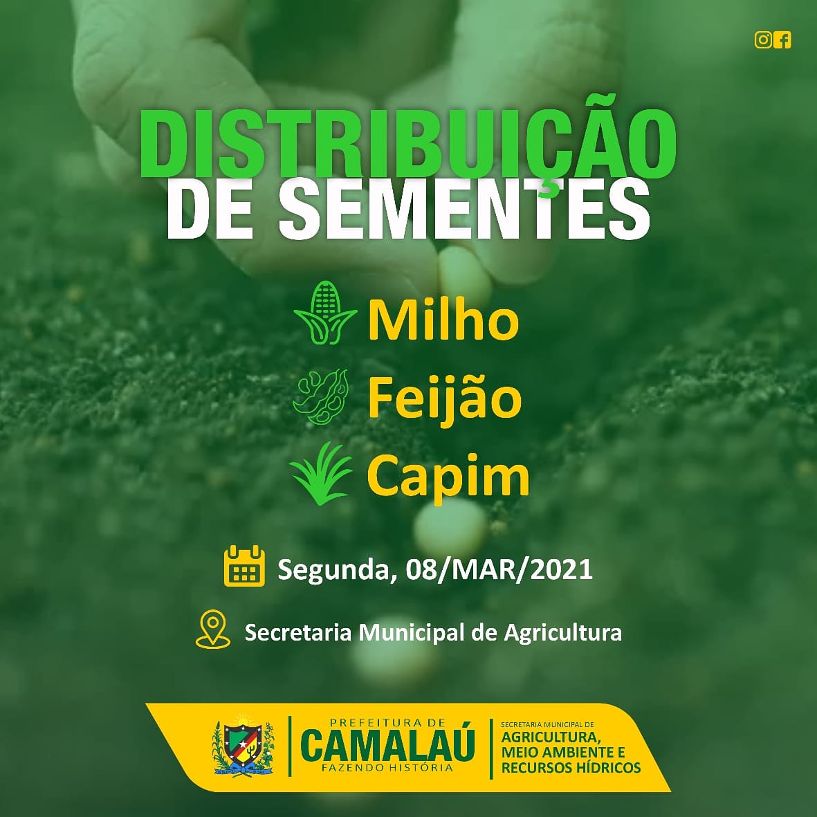 PARCERIA: Governo de Camalaú adquiriu sementes de milho, feijão e capim para distribuir com agricultores