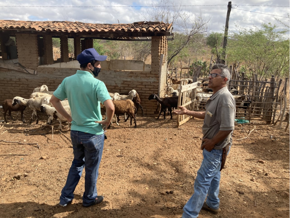 Técnicos da UFCG/CDSA realizam visita técnica em propriedade rural do Município de Sumé para orientar no manejo de animais