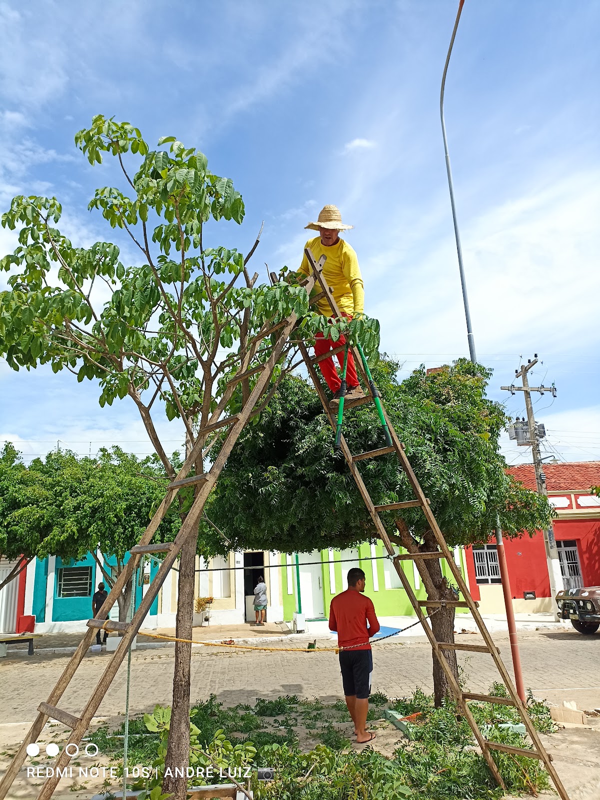 Prefeitura de Prata realiza manutenção, limpeza e poda de árvores