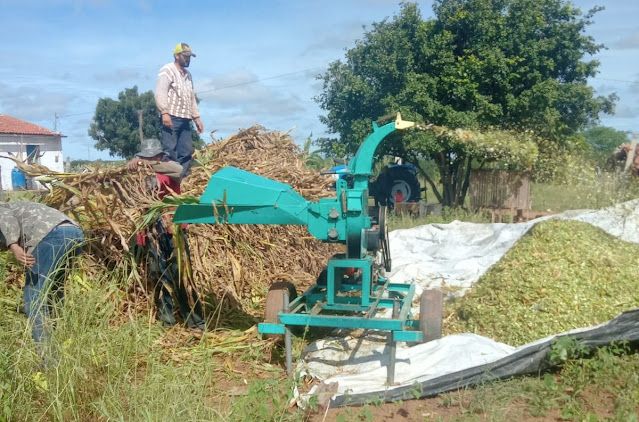 Comunidade Xique-Xique em Ouro Velho é beneficiada com a produção de Silagem para pequenos agricultores