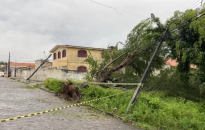 Fortes chuvas derrubam árvore e postes em Campina Grande
