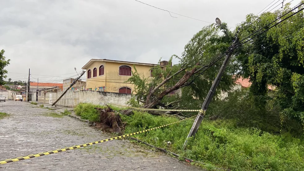 Fortes chuvas derrubam árvore e postes em Campina Grande