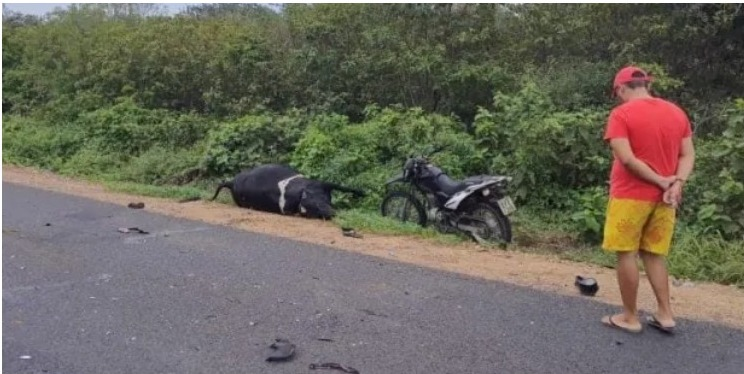 Animal solto na pista provoca acidente com vítima fatal em Taperoá