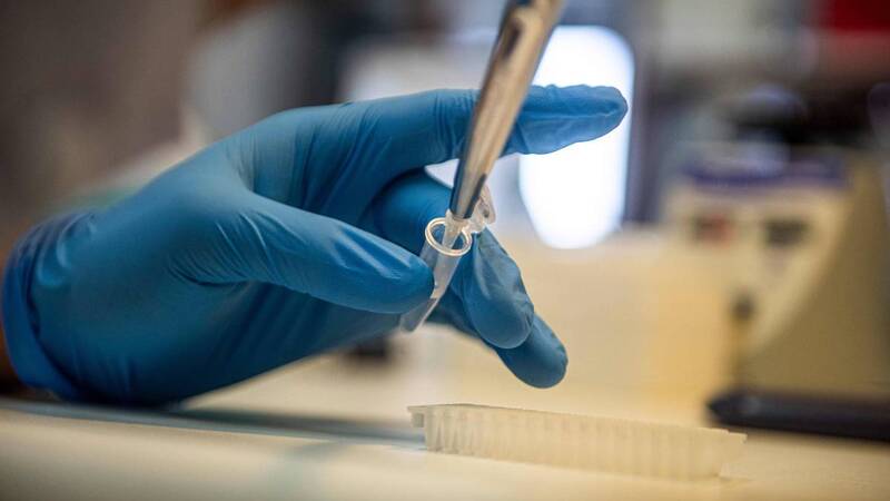 OMS faz reunião para avaliar declaração de emergência por varíola dos macacos