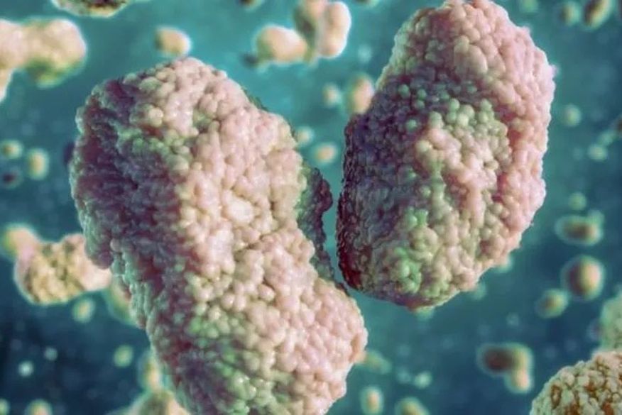 Confirmado terceiro caso de varíola dos macacos no Brasil