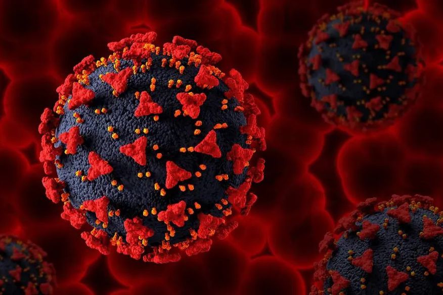 Paraíba confirma mais de 2 mil casos de Covid-19 e quatro mortes, nesta sexta-feira