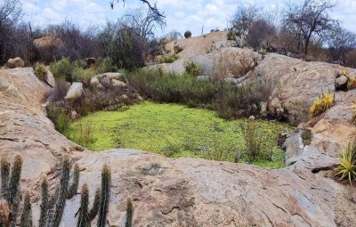 Prefeitura e UEPB retomam atividades de prospecção de sítios arqueológicos e paleontológico do município de Sumé