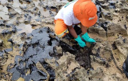 Duas toneladas de óleo são retiradas de praias em Pernambuco