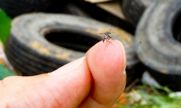 Dengue e chikungunya: Paraíba confirma 22 mortes e investiga 15