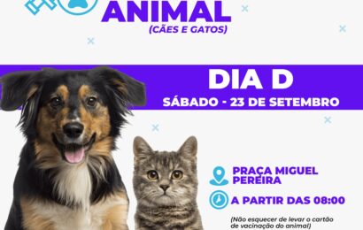 Secretaria de Saúde de Amparo realiza Dia “D” da vacinação contra raiva para cães e gatos neste sábado