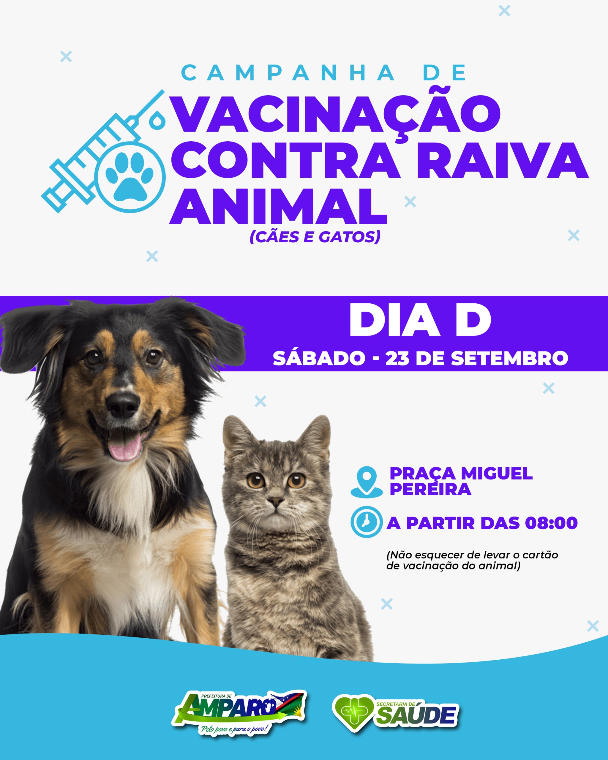 Secretaria de Saúde de Amparo realiza Dia “D” da vacinação contra raiva para cães e gatos neste sábado
