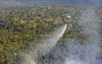 Queimadas: Amazonas registra segundo pior setembro desde 1998