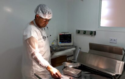 Programa CastraPet já realizou quase 300 cirurgias em Sumé 