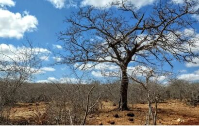 Governo Federal reconhece situação de emergência em municípios da Paraíba