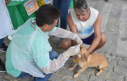 Sumé realiza I Feira de Saúde Pet para cuidar dos animais