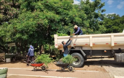 Prefeitura de São Domingos do Cariri fecha parceria com o Campus de Sumé, visando ações de recuperação de área degradada do antigo lixão