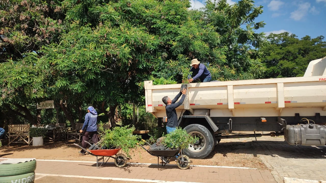 Prefeitura de São Domingos do Cariri fecha parceria com o Campus de Sumé, visando ações de recuperação de área degradada do antigo lixão