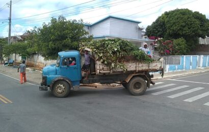 Prefeitura da Prata Mantém Limpeza Contínua das Ruas do Município