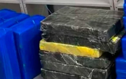 Polícia Federal apreende 800 quilos de maconha em carro dos Correios