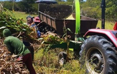 Prefeitura da Prata investe na produção de silagem para o desenvolvimento agrícola