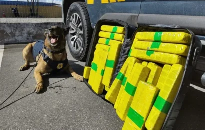 Homem é preso por tentar transportar mais de 22kg de maconha para Paraíba