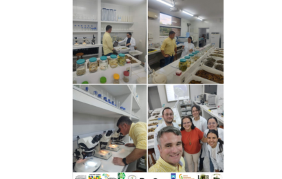 Laboratório de Ecologia e Botânica – LAEB/CDSA/UFCG tem os Resultados Parciais do Projeto REDESAB Apresentados ao Coordenador Geral de Sistemas Produtivos Inovadores do MIDR