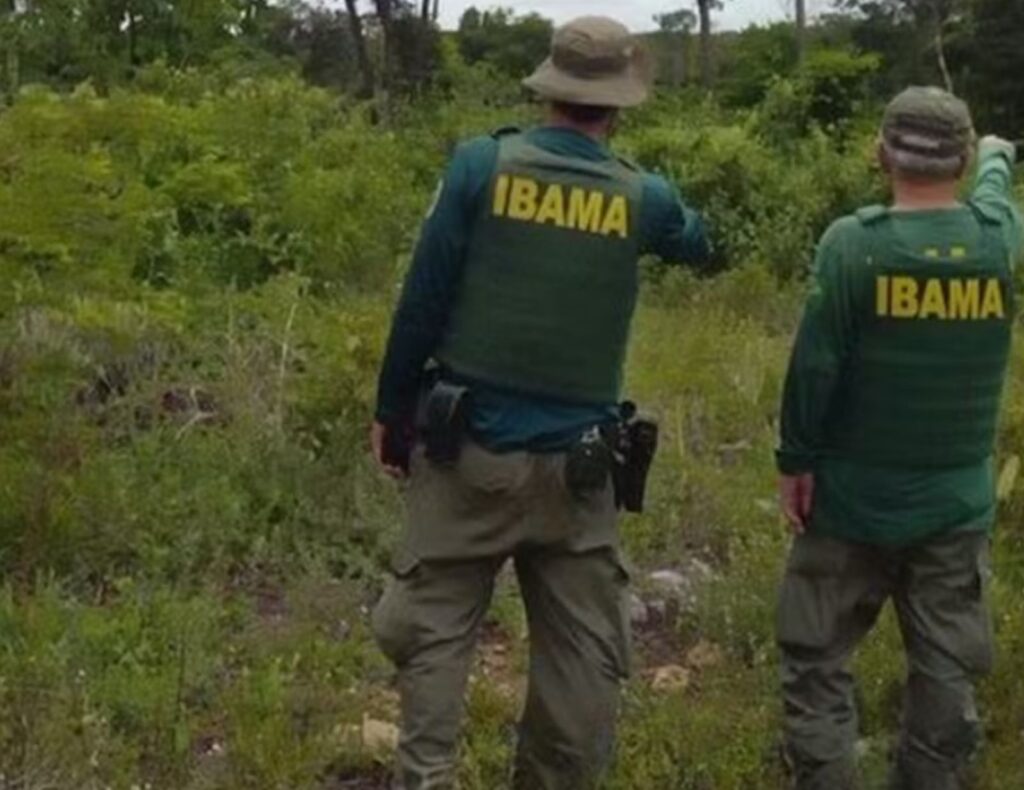 Operação identifica desmatamento ilegal e aplica mais de R$ 860 mil em multas na Paraíba