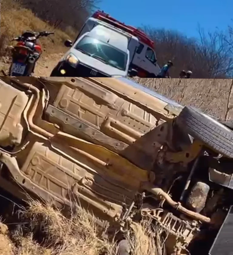 IMG_20251115_111458_204-1-e1763216350801