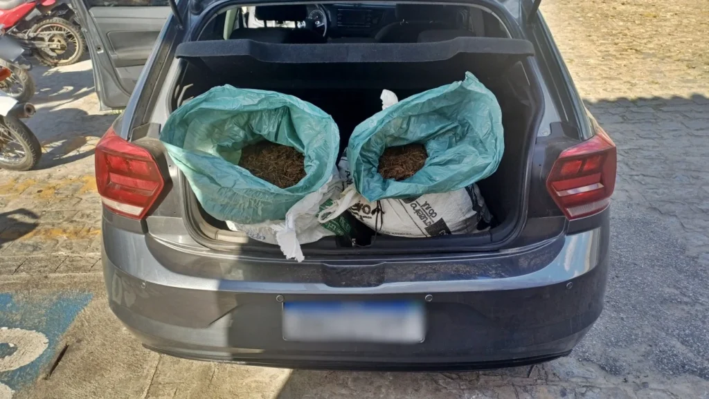 NO CARIRI: Homem é preso por transportar 19 kg de maconha na BR-412