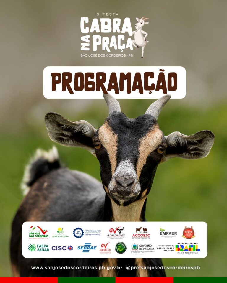 WhatsApp Image 2026-04-20 at 20.10