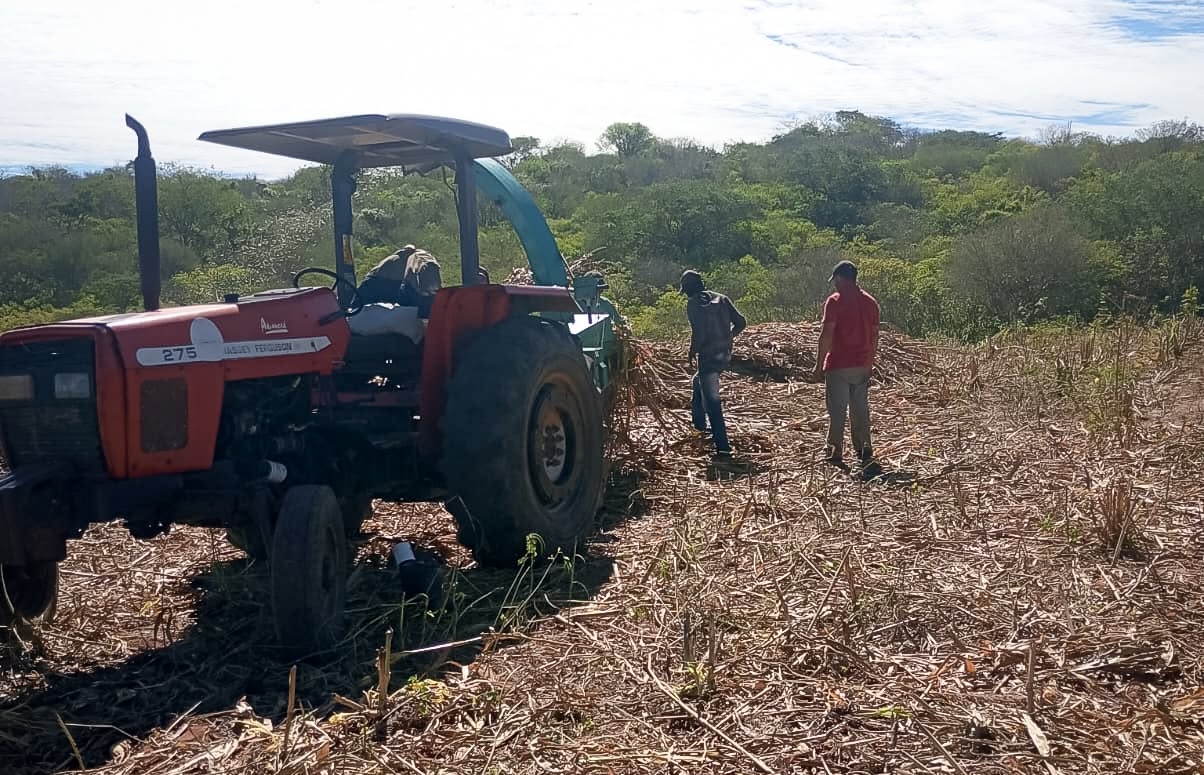 Prefeitura de Amparo intensifica Programa de Silagem e fortalece apoio aos produtores rurais